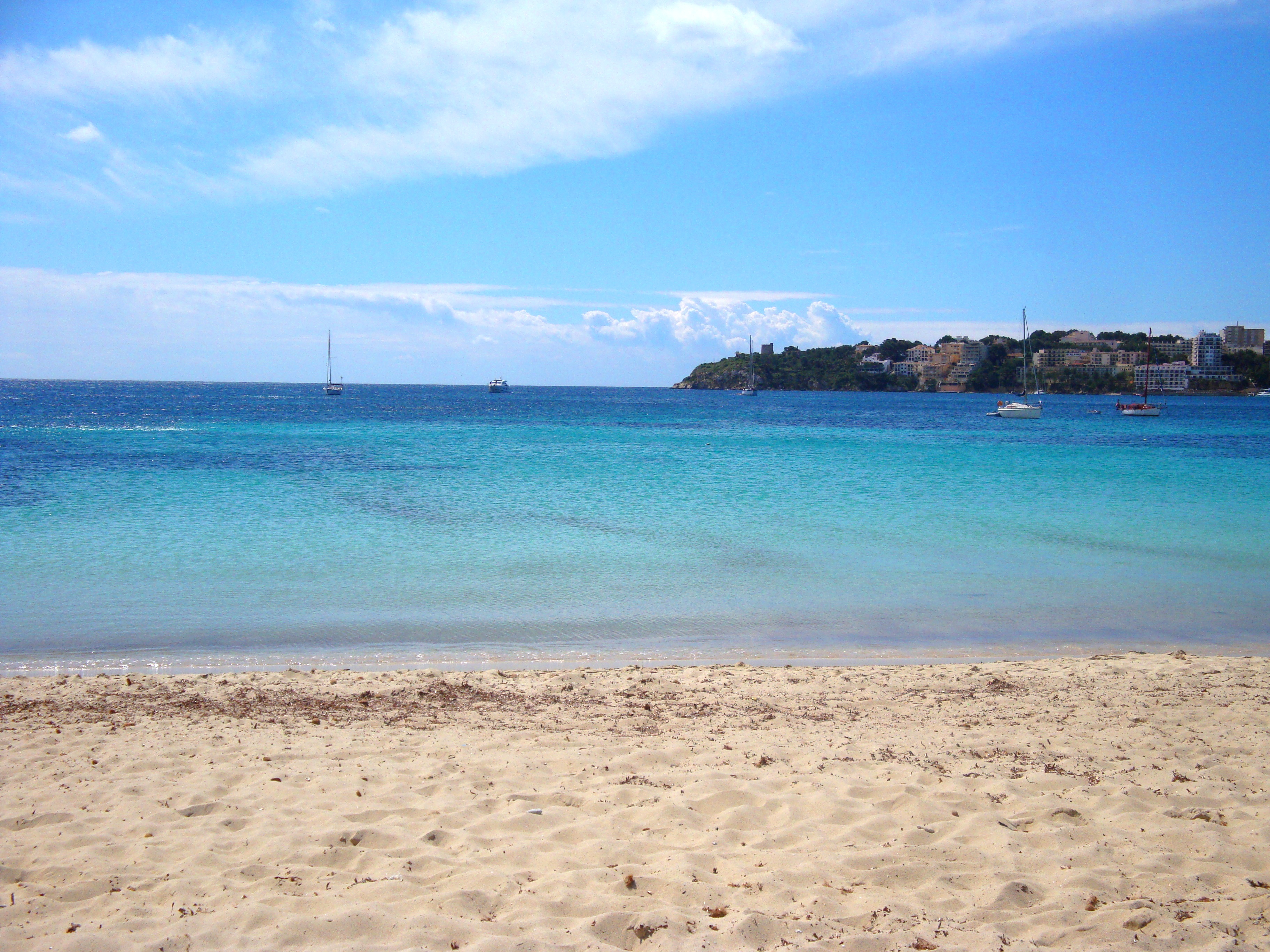 Playa de Alcudia en Mallorca