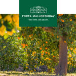 Naranjas de Mallorca: Un pedacito de sol para recoger