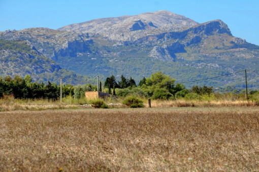 Parcela en venta en Pollensa para construir una casa de campo con piscina