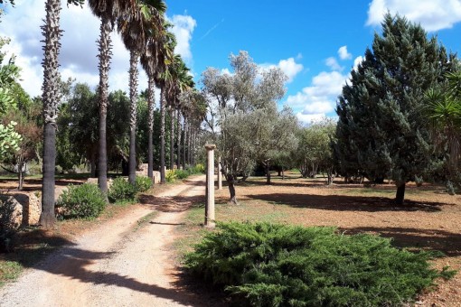 Vista al jardín