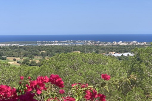 Vistas al mar