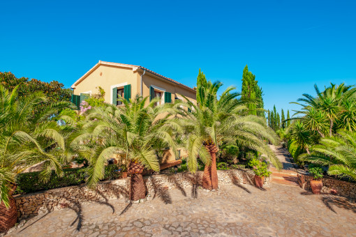 Chalet rodeado de un jardín maduro con palmeras