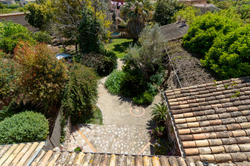 Terraza y jardín