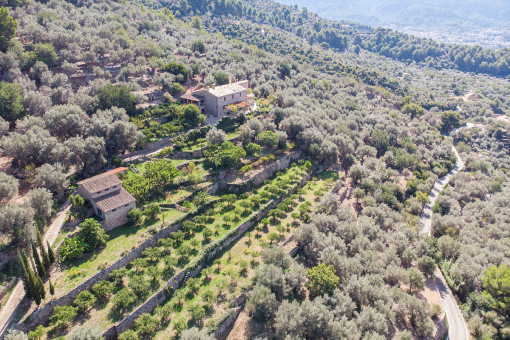 Excepcional propiedad con viñedo propio y preciosas vistas a las afueras de Sóller