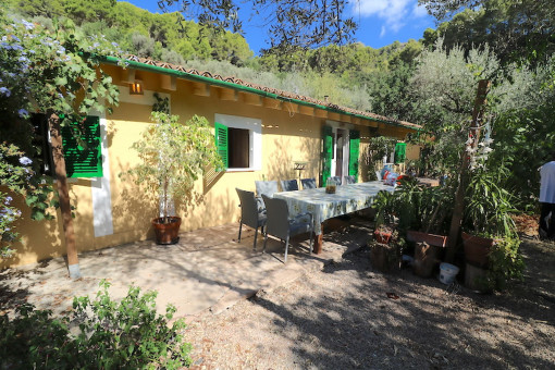 Terraza