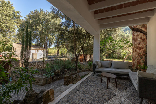 Terraza