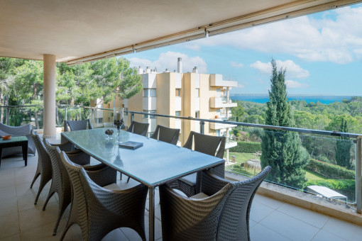 Terraza