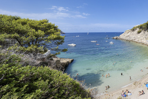 Playa cercana