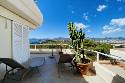 Terraza