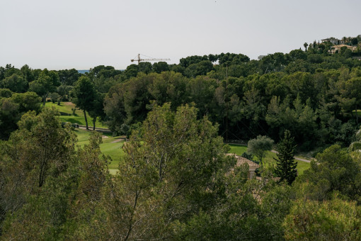 Vistas al campo