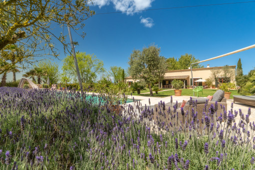 Jardín mediterraneo