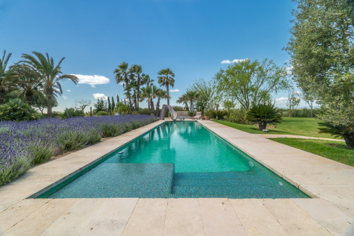 Piscina larga