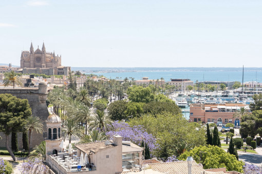 Sobre los tejados de Palma – panorama del puerto, la catedral y el mar