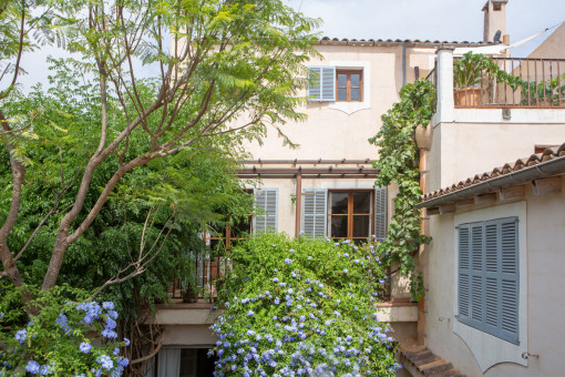 Parte trasera de la casa