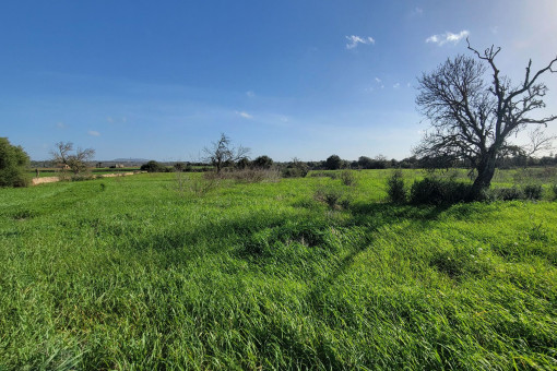 Construcción inmediata posible