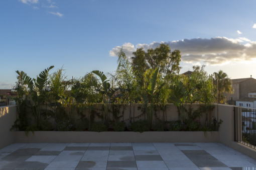 Terraza privada en la azotea