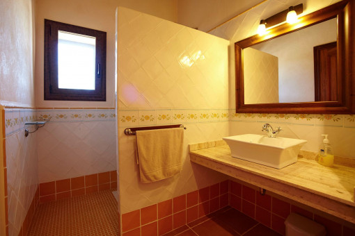 Primer baño en la planta baja