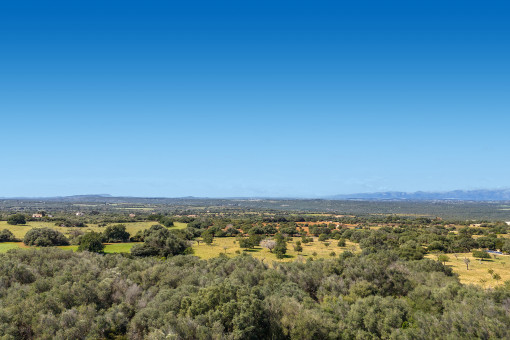 Impresionantes vistas panorámicas