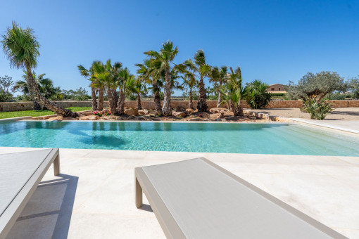 Piscina rodeada de palmeras by palm trees