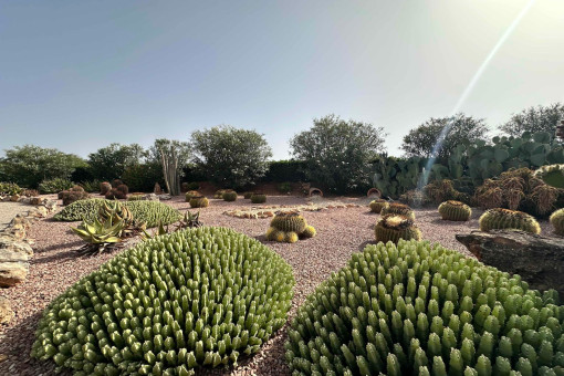 Jardín mediterráneo