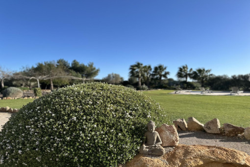 Jardín mediterráneo