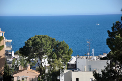 Vistas despejadas sobre la costa de San Agustín