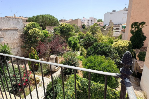 Vista desde la terraza