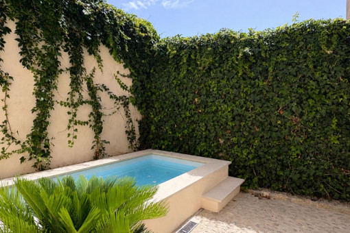 Jardín