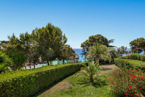 Jardin