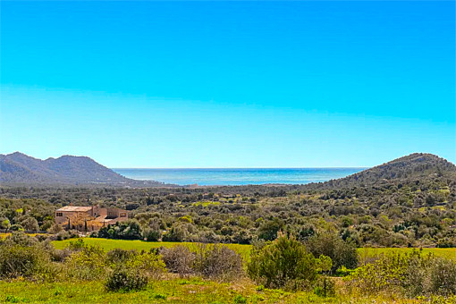 Vista