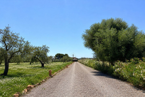Acceso a la finca