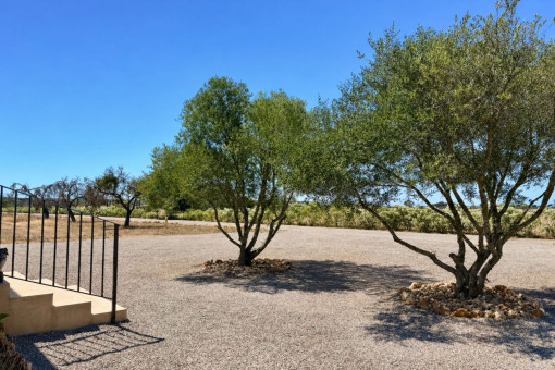 Zona de entrada