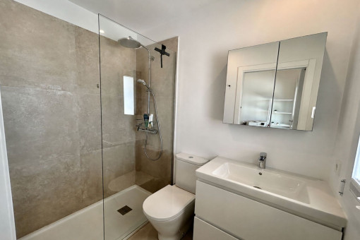 Baño del despacho