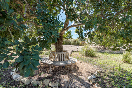 Zona de asientos en el jardín