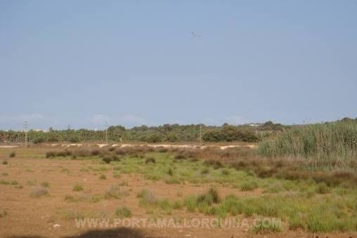 Espacioso solar de 11 hectares