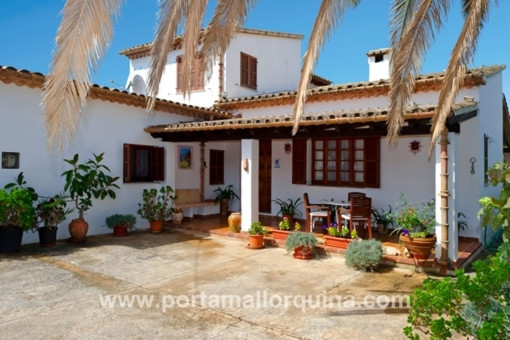 Patio y terraza