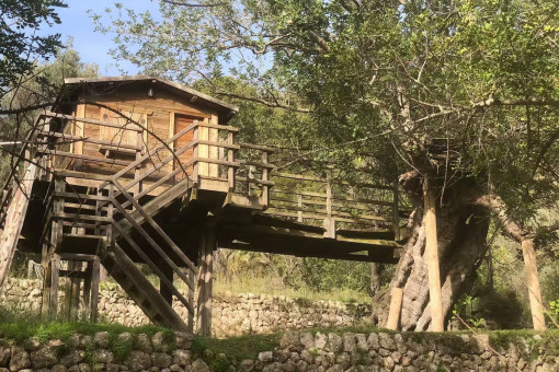 Aventura para niños en la casa del árbol de la finca