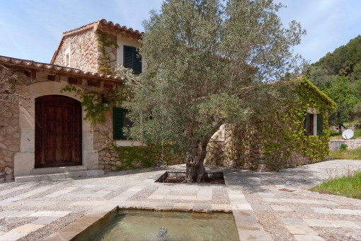 Finca auténtica con patio mallorquín y olivo