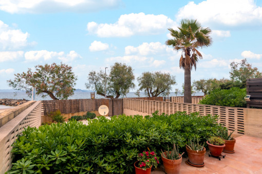 Terraza