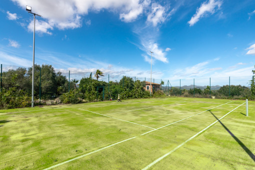 Tennis