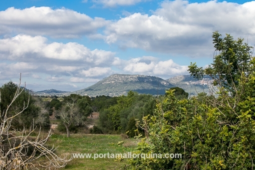 Vistas hacia Llucmajor
