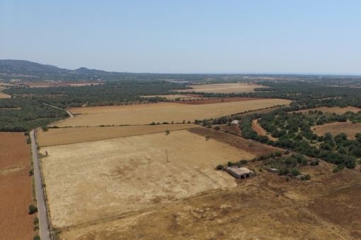 Terreno edificable con ruina