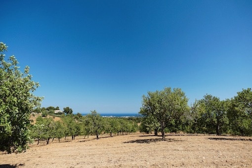 Solar en S'Horta