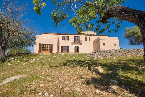 Finca en San Lorenzo
