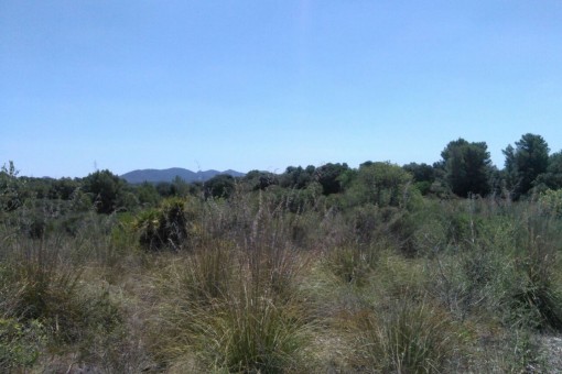 Extenso terreno muy bonito entre Arta y San Lorenzo