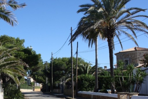 Vistas a la calle