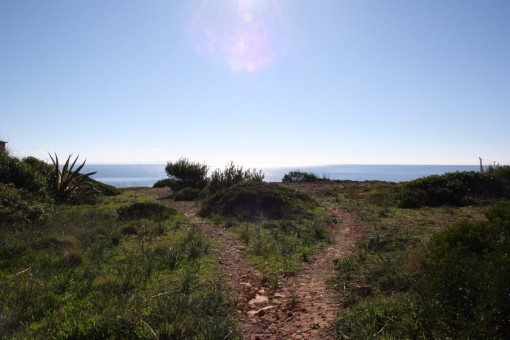 Vistas sobre el terreno