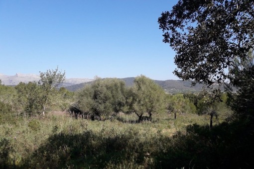 Con licencia de obra en vigor