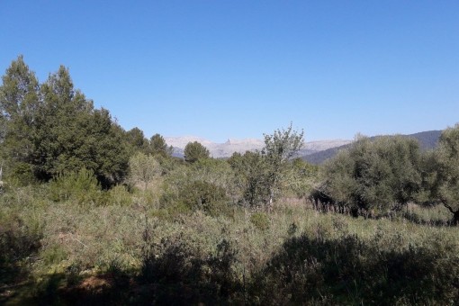 Fantásticas vistas a la Tramuntana