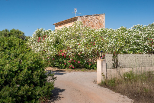 Acceso a la finca